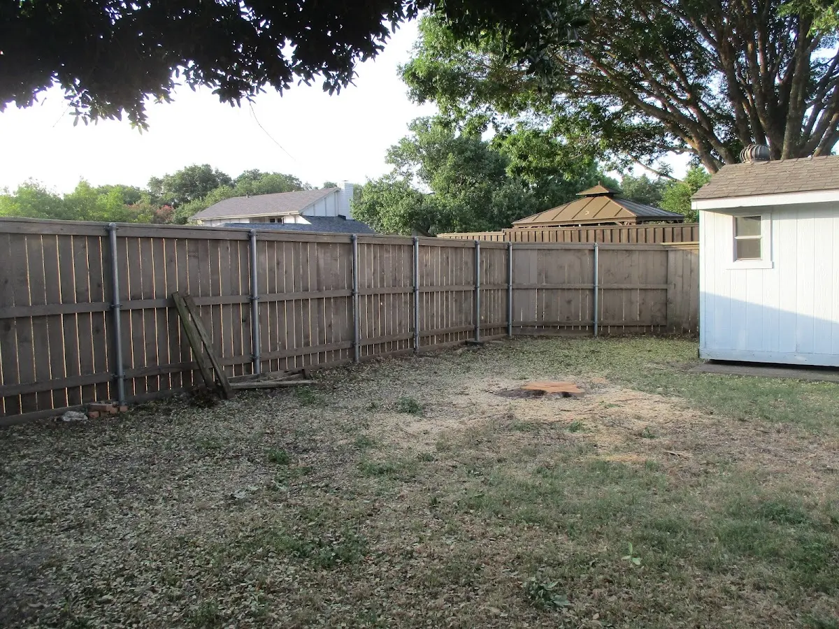 Cleared yard after professional tree removal in Centreville